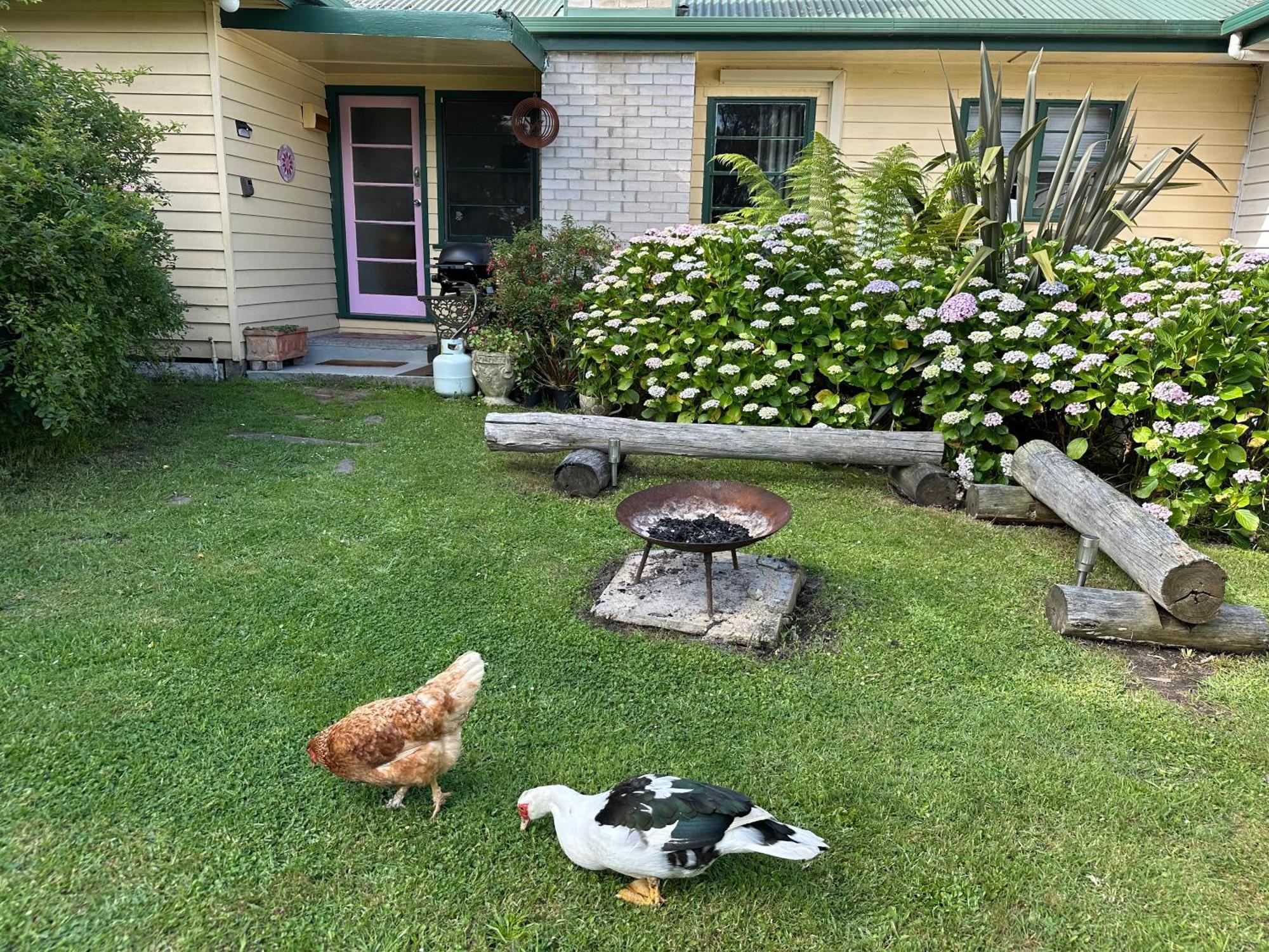 Bush Retreat Farm Stay 2 Bedroom Guest Suite Gelliondale Luaran gambar