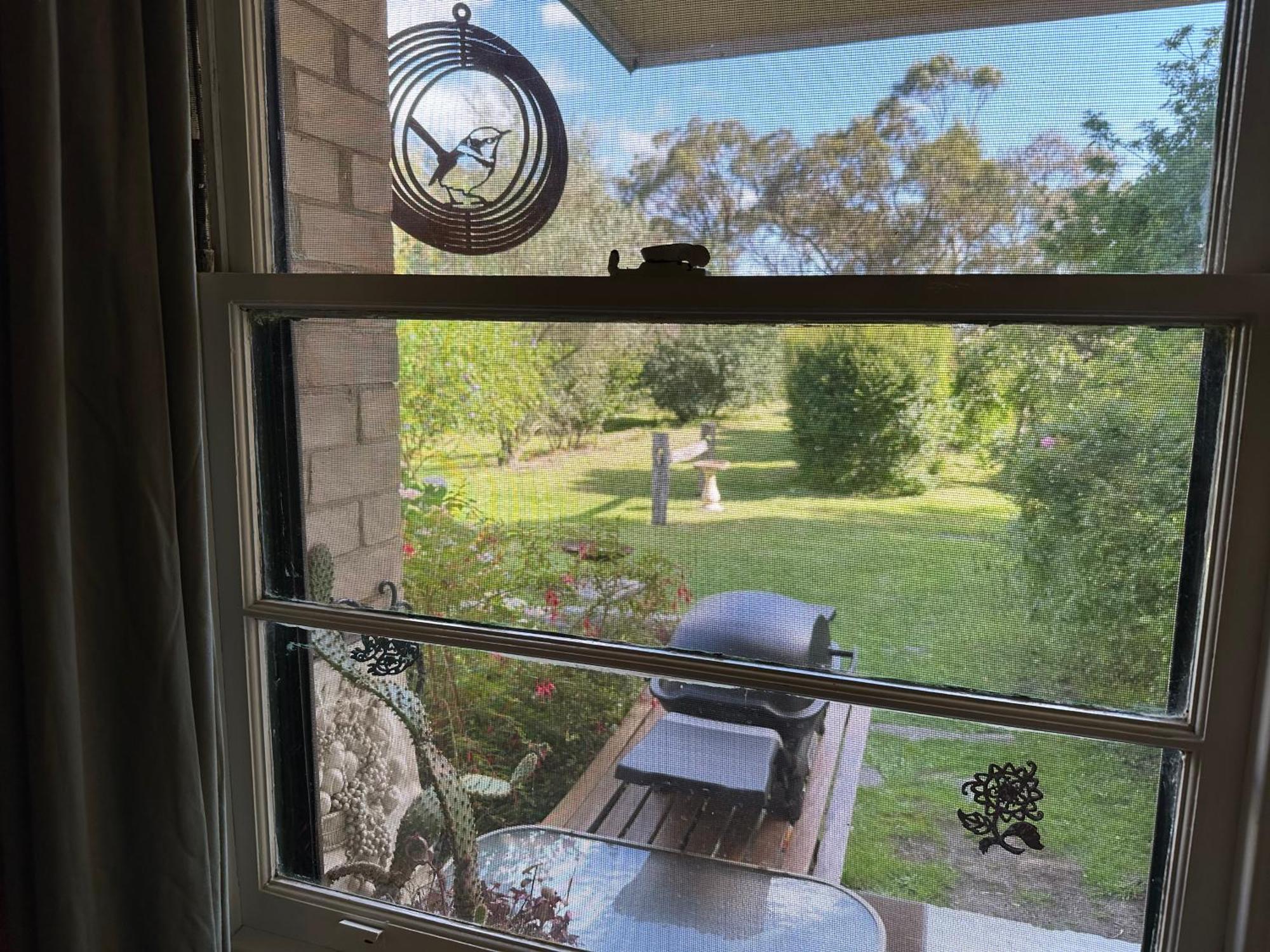 Bush Retreat Farm Stay 2 Bedroom Guest Suite Gelliondale Luaran gambar